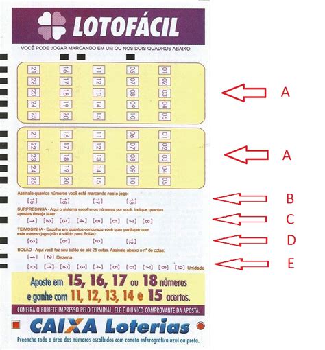 como funciona aposta lotofacil loterias online caixa